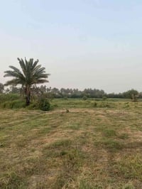 عرب جبور • قطع زراعية • طابو زراعي