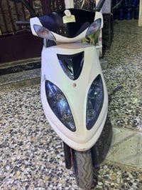كراوس • دراج سيام • للبيع