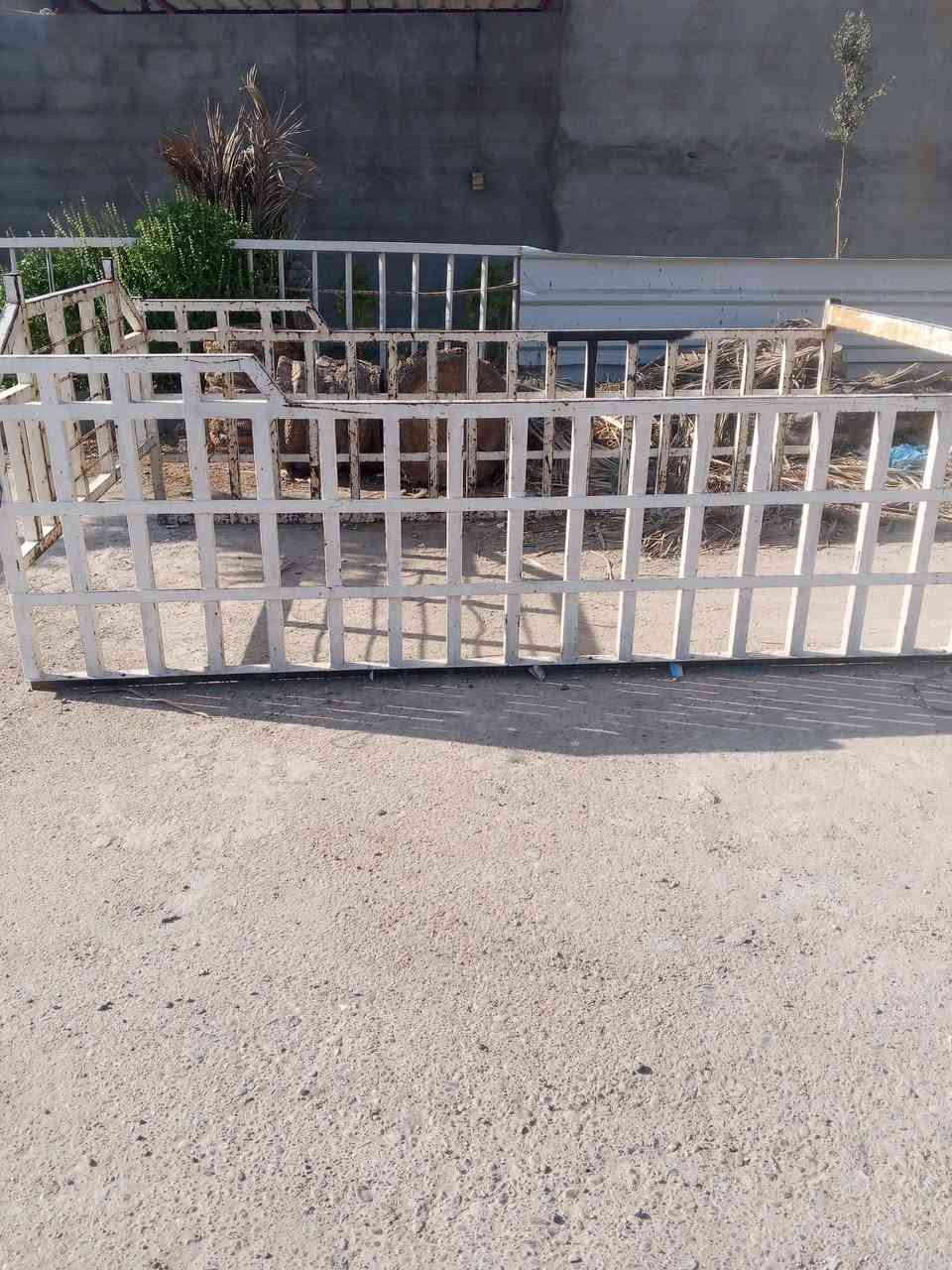 محجل للبيع مكفول من الخياس يرهم عل فونتيرة وعل عموشة مكان الانبار خالدية سعر 300 تصل ***********0
