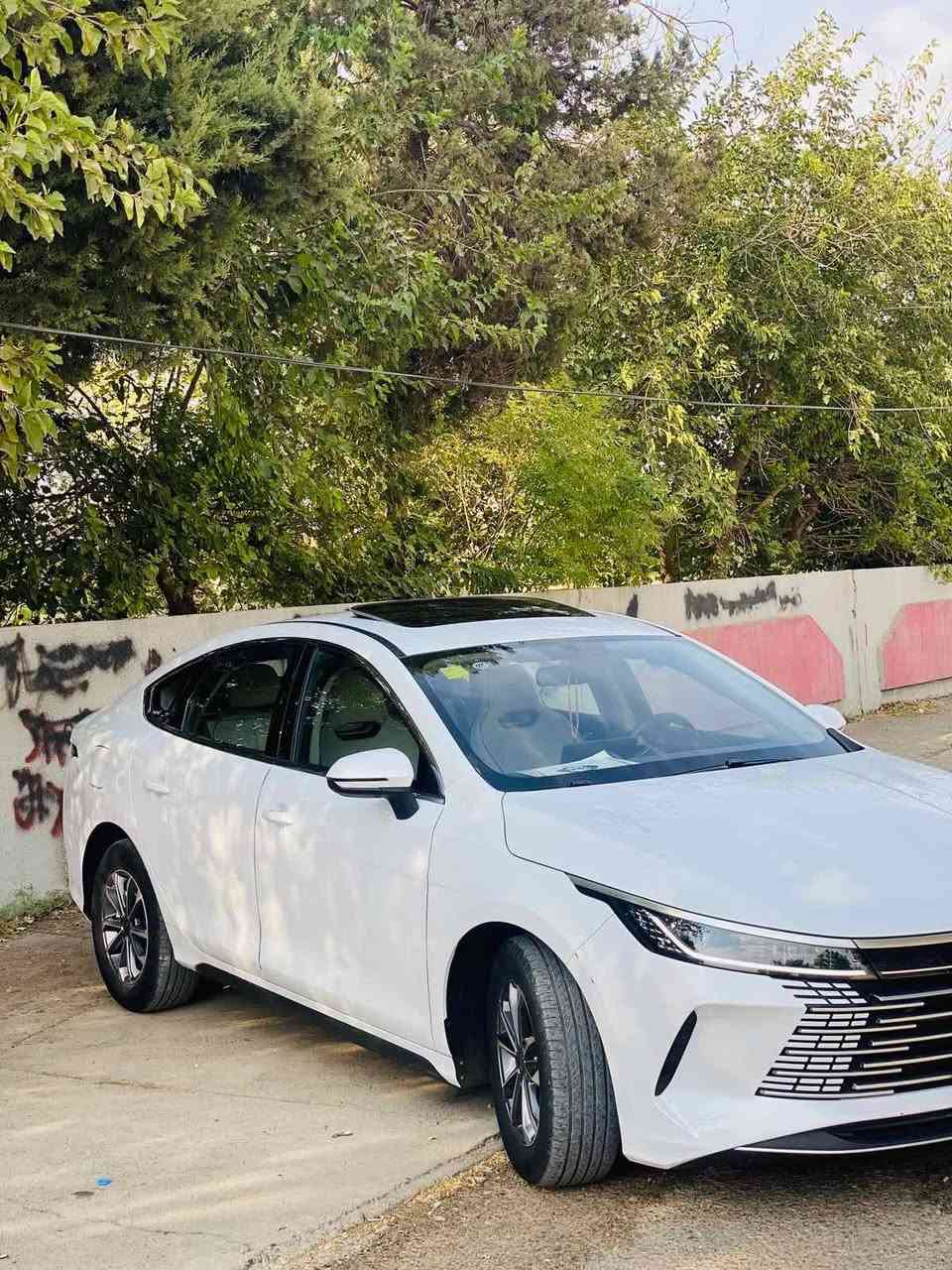 سلام علیکم
byd 2025دیسرۆی
ڕەقەم سلێمانی سنەوی 2031/8/1
فول مواصه فات   ، سلايد ،  ،كلين بي بوياخ  سەیارەکە تا بلێت جوانە ،نەرمە تەرزەی کەمی هەیە،۹ هەزار رۆشتوو ته حويل وغه رامه به شه رت،بۆ سعر پەیوەندی بکە لەخزمەتام❤️
بۆ پەیوەندی***********.
***********
