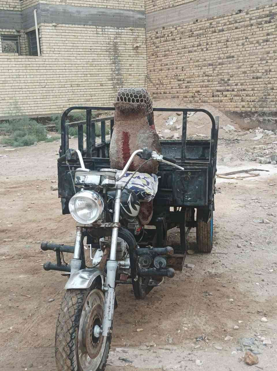 ستوته • 2016 • عوزها