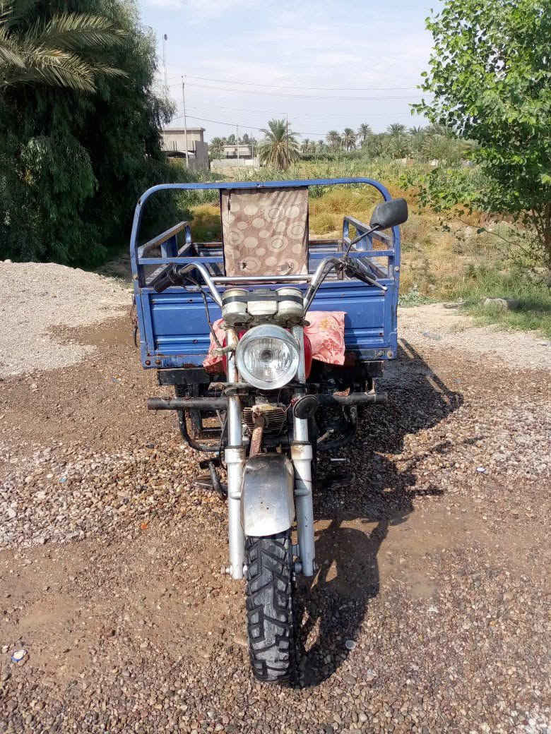 موديل ١٦ • أوراق • شهربان