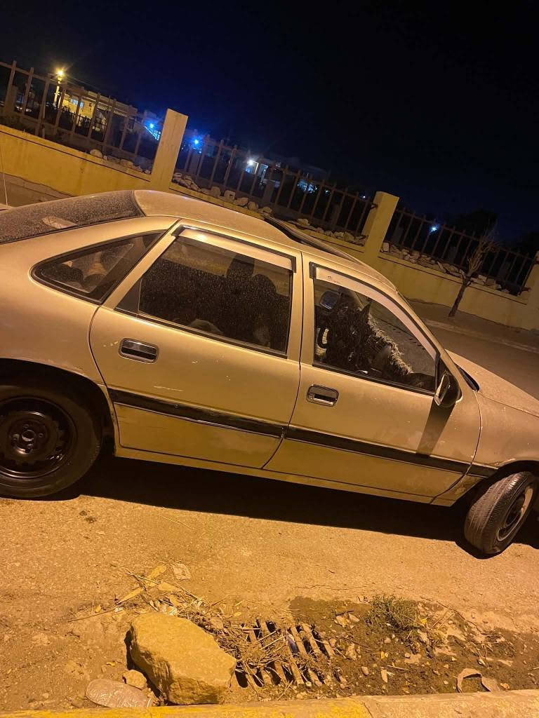 ١٩٩٥ • توماتيك • مكينة ١٨٠٠