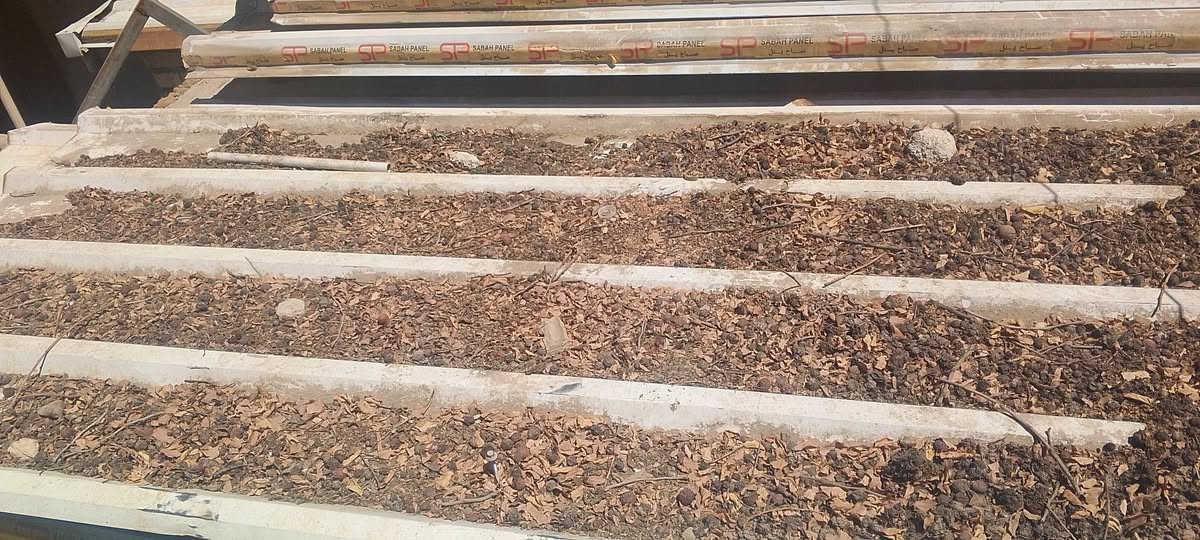 سندويش للبيع نضيف الطول من 5 أمتار مكاني بغداد العبيدي الشاري هسه يجي يحملهن بيهن 13 وكثر ***********
