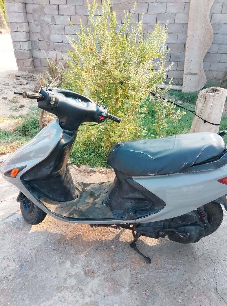 فراشة • نثيه • تعمير جديد