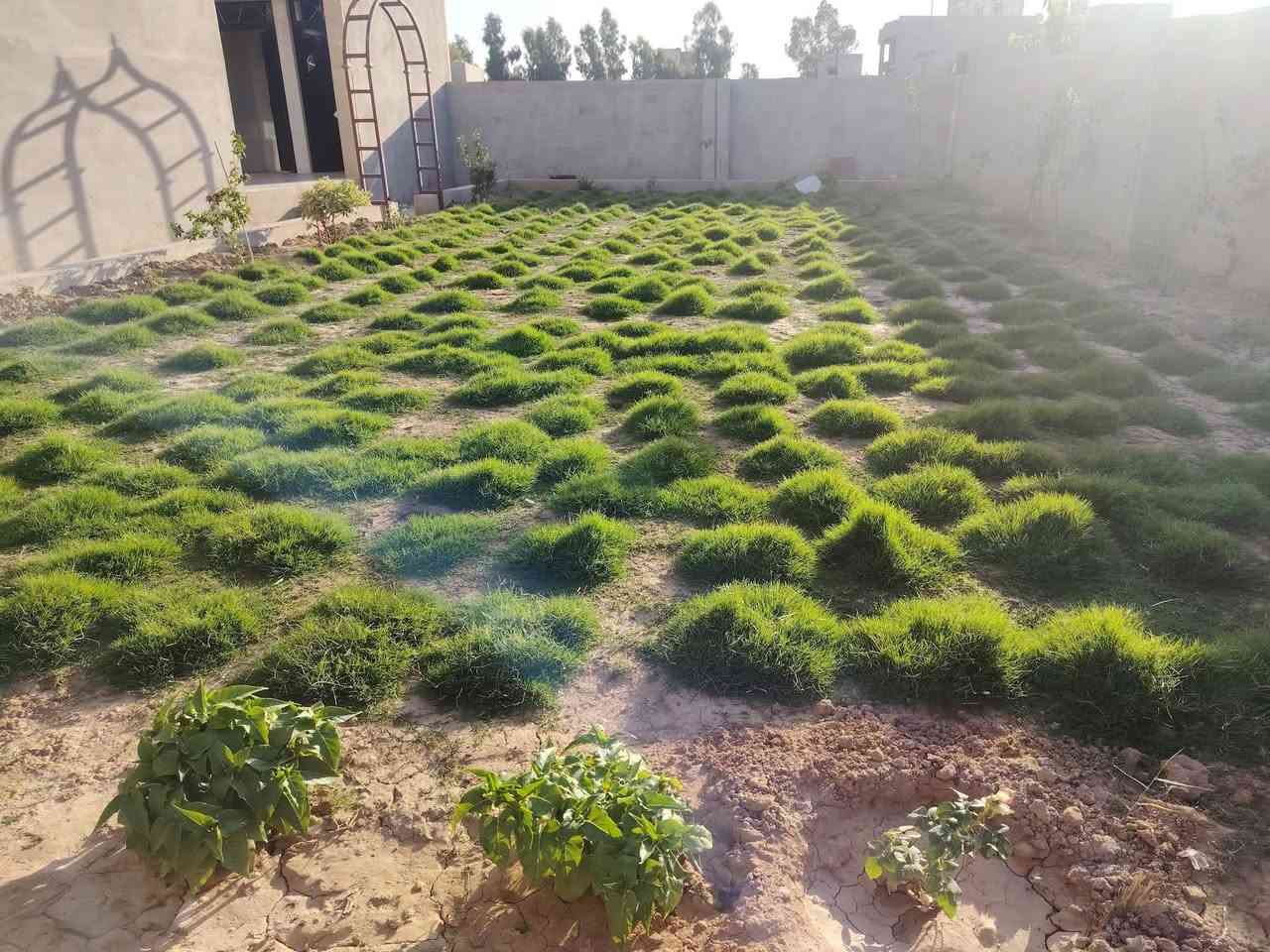لعمل الديكور اتصل على الرقم ***********
🍃مستـعدون🍂 ، لـترتيب🐦 الحدائق المنزلية 🏝️🏘️ ودوائر الدوله والمتنزهات  مايخص الحدائق العامة
وزراعة النباتات، 🌾🌴🌱والازهار، 🌼🌺🌻وقص الثيل.🌾🌾
وعمل الديكورات والتصاميم،الحديثة للحدائق،وعمل  الحدائق، بواسطة الاحجار الملونة
