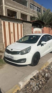 ريو ٢٠١٢ • وارد امريكي • قطعتين صبغ