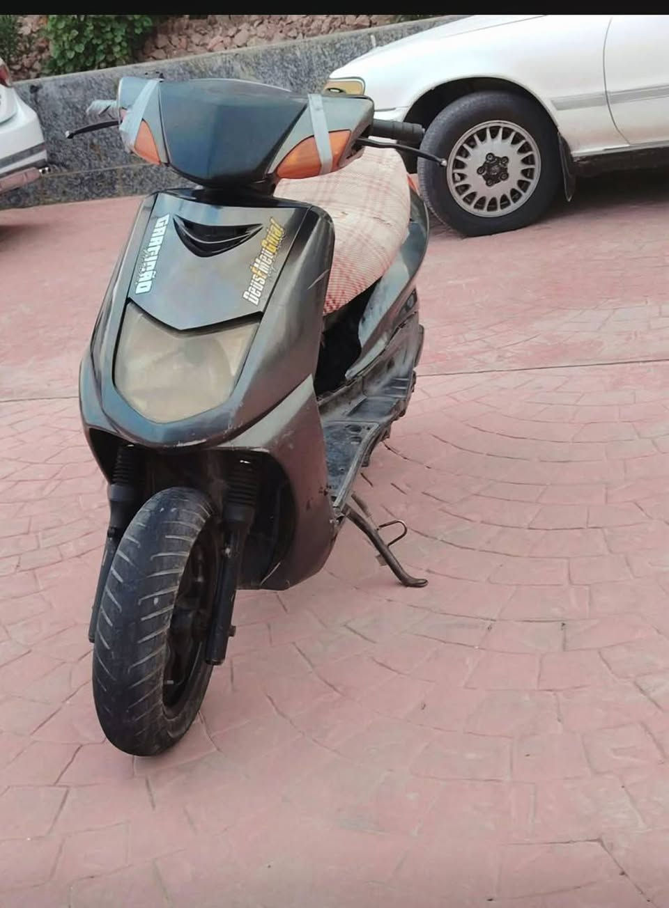 سكنس نثيه • ياباني • نضيفه