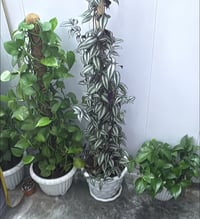 مرجوحه • ٣ قطع • للبيع
