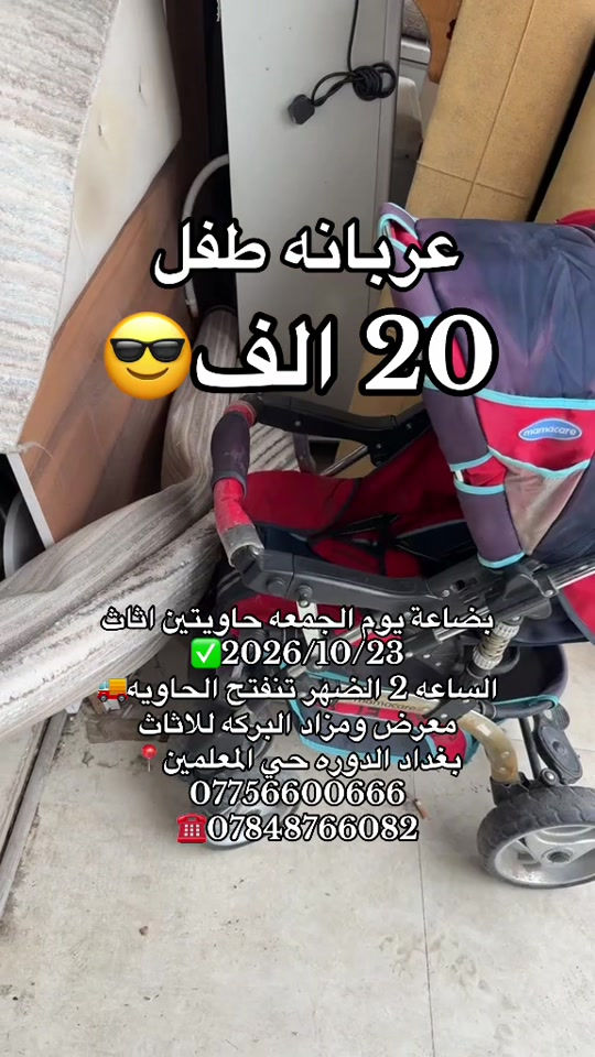 عربانه طفل • ٢٣/١٠/٢٠٢٦ • حي المعلمين