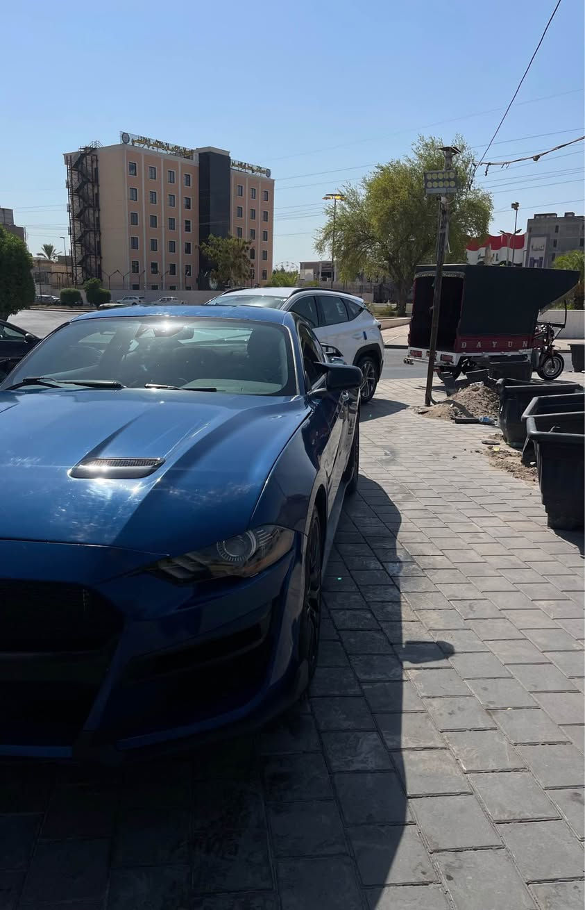 سلام عليكم
❌ب125 ورقة مديل 2023 ايكو بوست سيارة تخبل وكامله من كل النواقص رقم بغداد بأسمي اخت الابلاش
حادثها بنيد وجاملغ امامي لون مميز ويل كب تراك بكج عليها الأصلي وتجي وتشوف السيارة بعينك مكاني بغداد الشعلة والسعر قابل للتفاوض بشي بسيط اتصل وانا حاضر
 *********** بغداد, العراق
