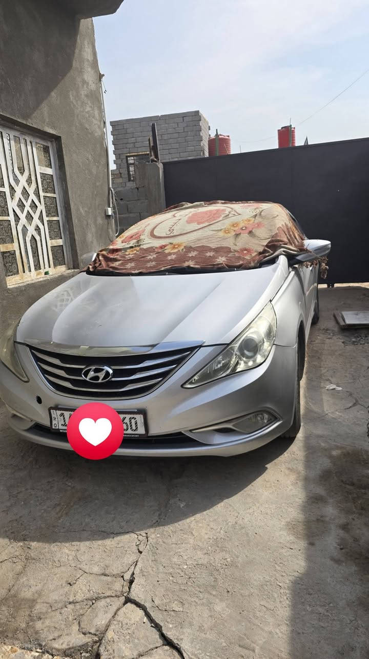 سوناته • ٢٠١٦ • رقم بصره