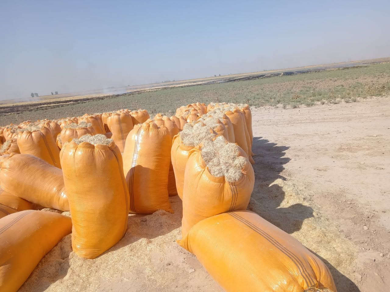 🌾 تبن الشمال للبيع 🌾

📦 حجم الكيس: 123 × 90
✨ تبن أبيض، ناعم ونظيف
🚫 خالي من التراب والشوائب

💰 سعر الزوج واصل: 7,750 دينار
📍 التوصيل إلى جميع مناطق ديالى

🔹 أقل كمية للطلب: 420 كيس

📞 للطلب والاستفسار:
***********
