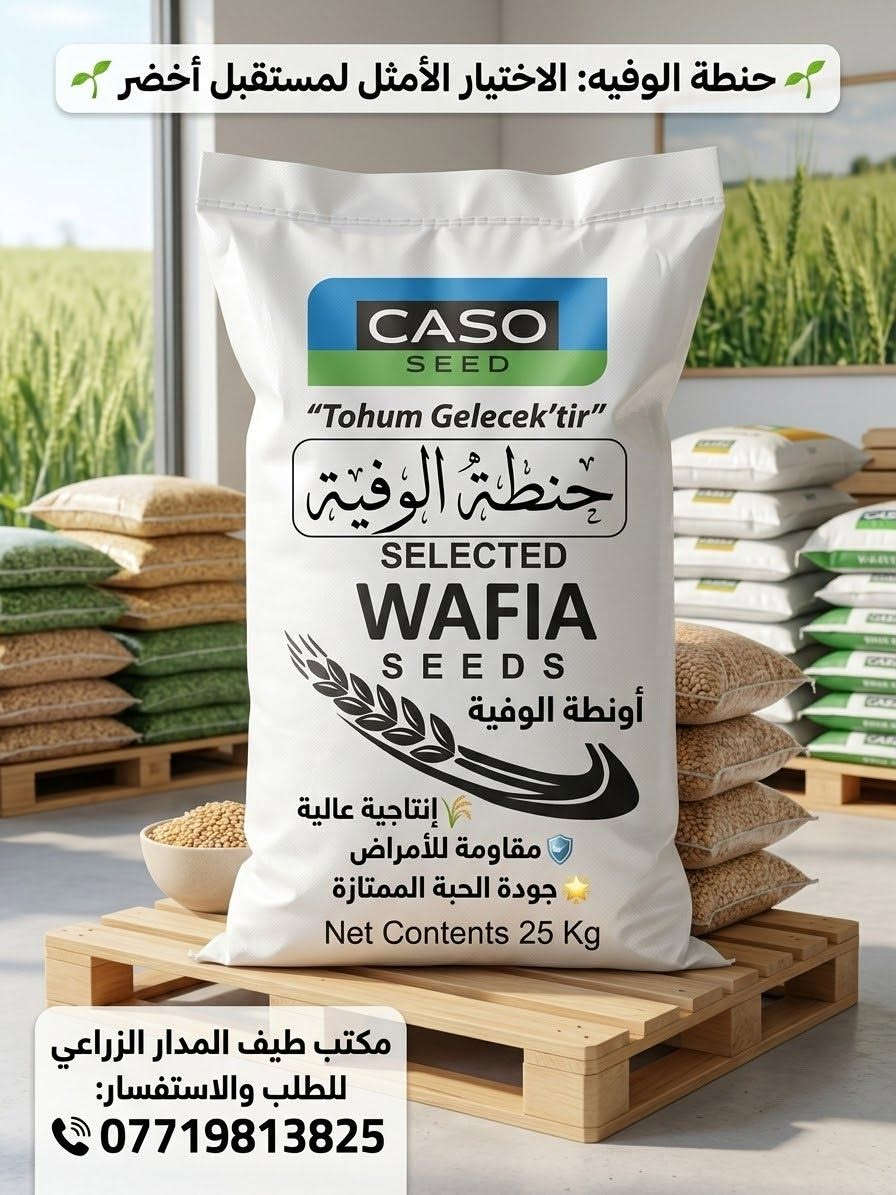 حنطة وفية • جملة ومفرد • قرية العباس