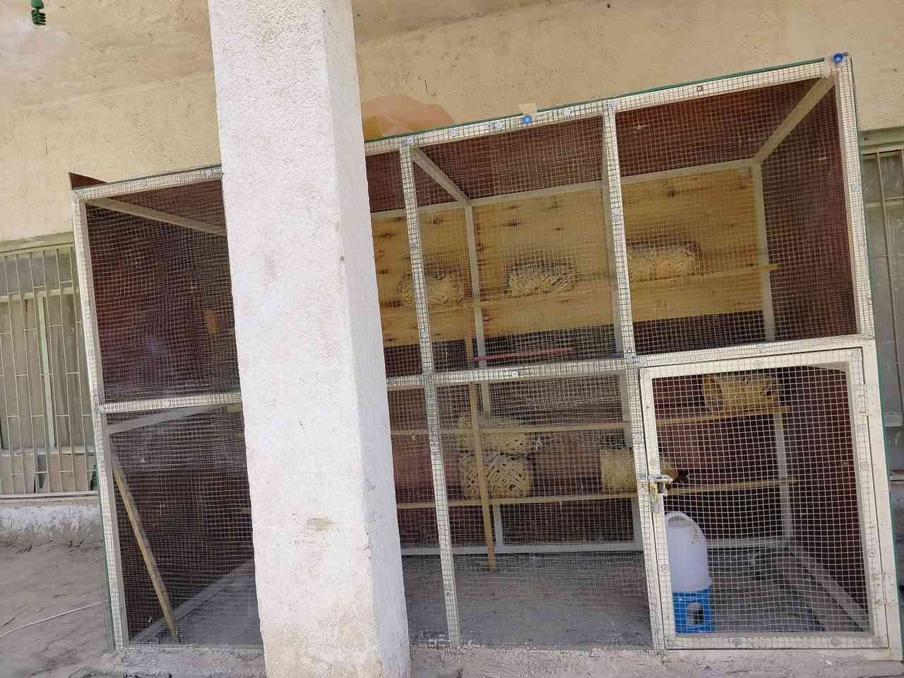 من رخصه مدير الكروب قفص لبيع طول3 امتار ارتفاع 2متر غمق متر 20حديد درجه اوله سيم درجه واله شوفت عينك كلشي يرهم طيور حب حمام دجاج سعر 200 وبي مجال مكان حله يم بوابه رقم***********

