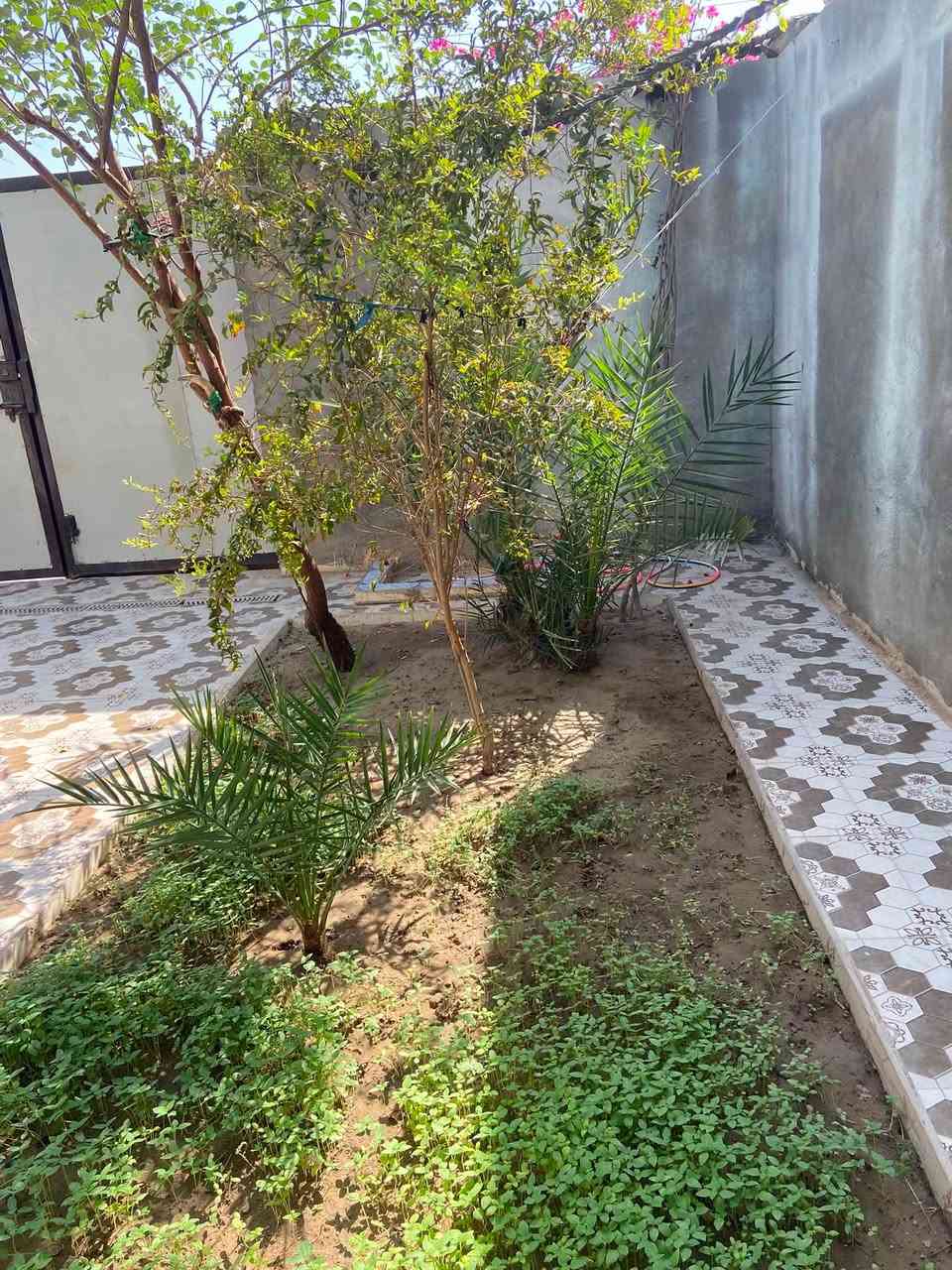 السلام عليكم بيت طابو للبيع قرب مدرسه الرحمه حي ضبيع مساحه البيت 250بي غرفتين وصاله ومطبخ وديوانيه وصحيات داخليه وخارجيه اتصل برقم  ‭***********‬
