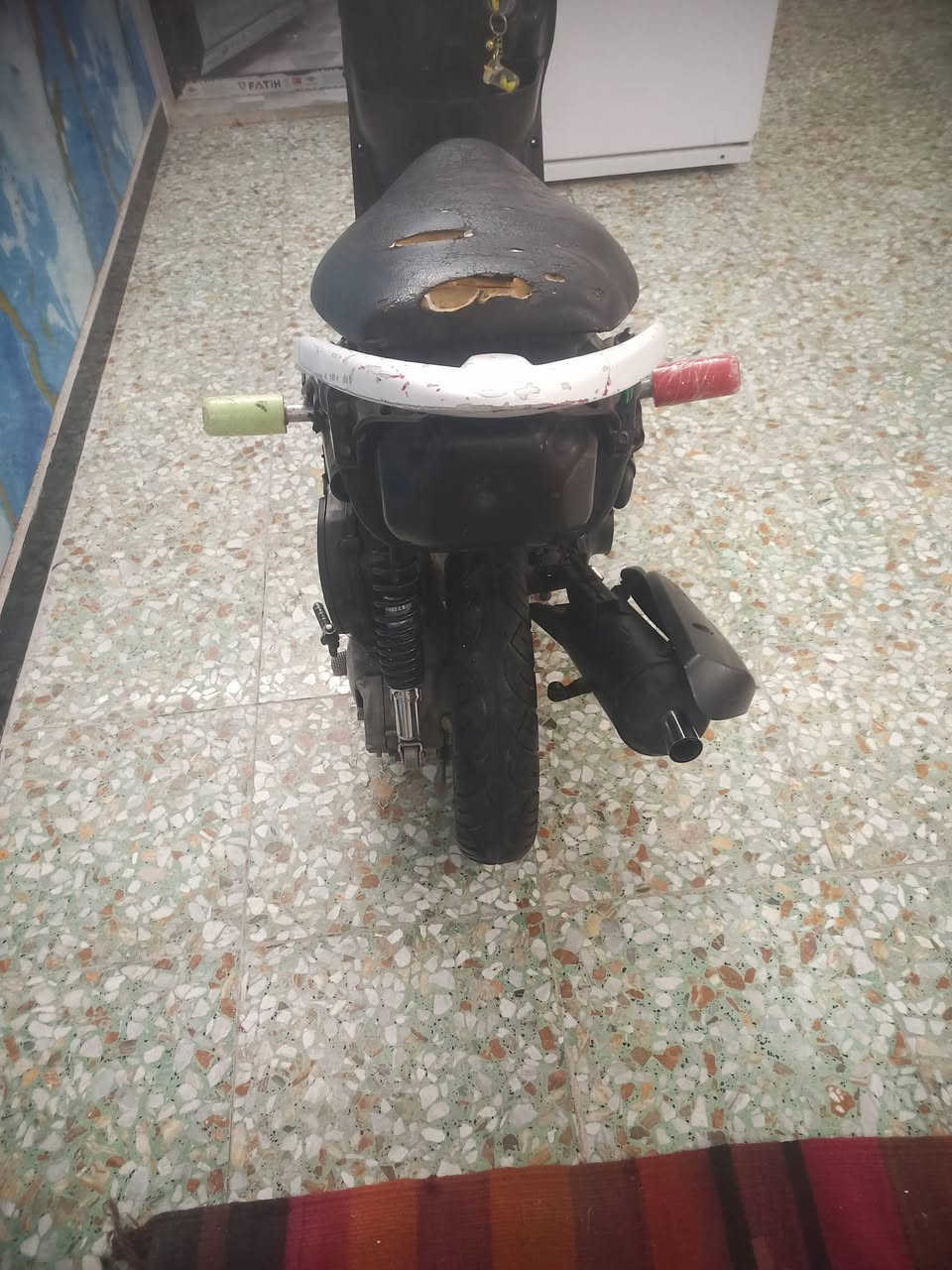 ماكس عدله • تزويد رياضي • شلعه معدل
