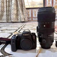 كانون 6D Mark II • سجما ٧٠-٢٠٠ f/2.8 • ٥٠مم كانون
