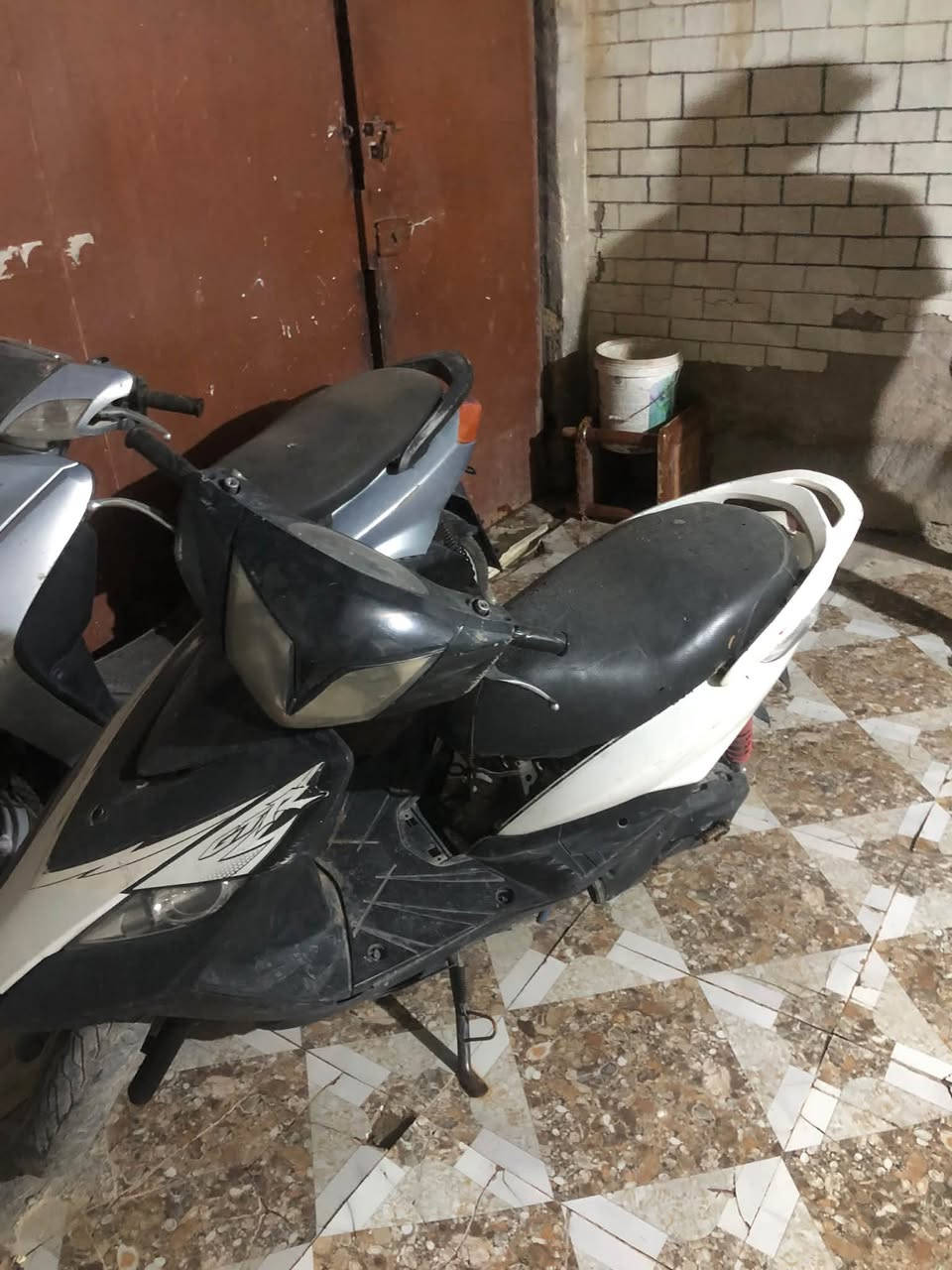 سكنس نثيه • ثعلب • ثنينهن