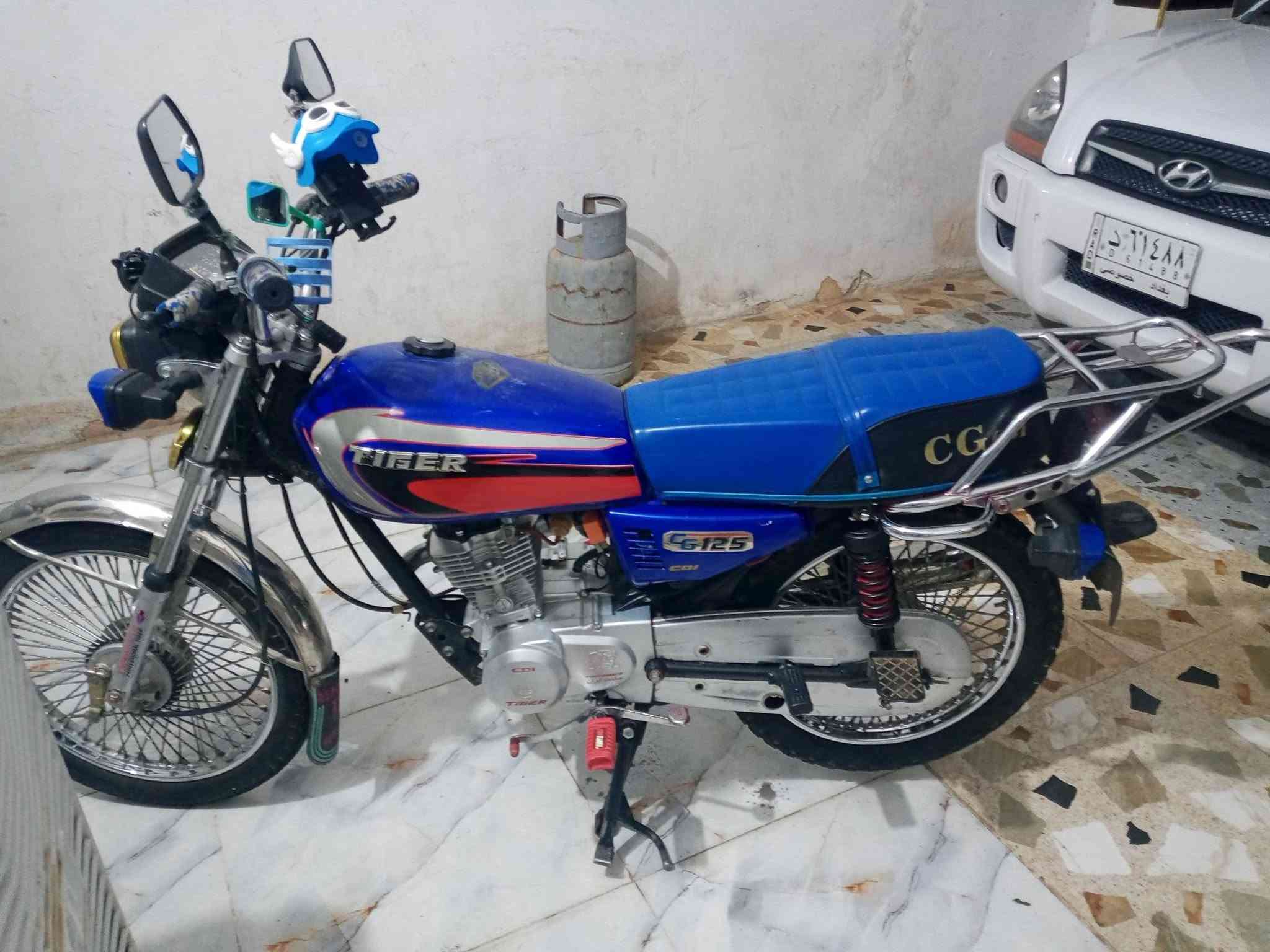 بلادي • كهرباءيات شغاله • فول نشاط