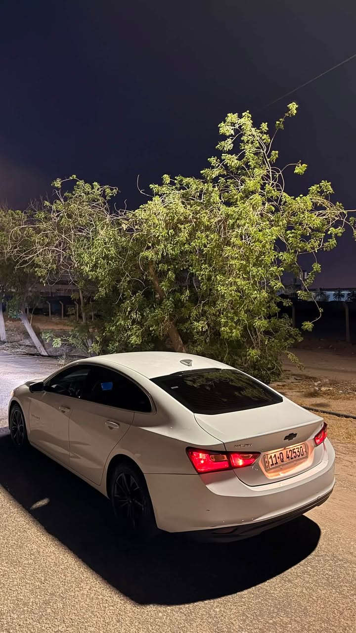 السلام عليكم  شوفرليت ماليبو  LT 2023 للبيع 

ماشيه 69  ألف ميل
محرك  1500 توربو

داخل اسود
تدفئة كشنات
تبريد قطعتين 
شاشة كبيرة نظام لمس

بصمة تشغيل + بصمة بيبان + بصمة جنطة
نظام التشغيل عن بعد
تحكم ستيرن متكامل 

 مثبت سرعة  
تثبيت مسار
نظام رادار وحساسات أمامية 

منافذ شحن  USB و Type C

ويل كب حجم ١٧ الأصلي ( فئة lt)
السيارة وارد أمريكي مستلمه من البصره 

الضرر: جاملغ وبنيد فقط بجم كبس مابي شي ، 
هنا صار بيه حادث جاملغات ثنين و مبدلات بدون بجم و موجوده صور حادثه 
وبدون أي ضرر بالدواخل نهائياً.

 بيه ملاحضات بسيطه طخة بسيطة في الدعاميه الخلفيه و فقط تكحيل بدون صبغ و معجون  

 السيارة بوضعية ممتازة جداً، ومن يوم  اشتريتها ما فاتح بنيدها
 و كله محسن و دهن ايسي ديكو الاصلي 

السعر: ١٢٧ ورقة
الرقم: بغداد ب اسمي 

رقم الهاتف: ***********
