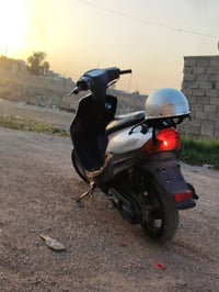 بوتين • نضيف • مجال حك