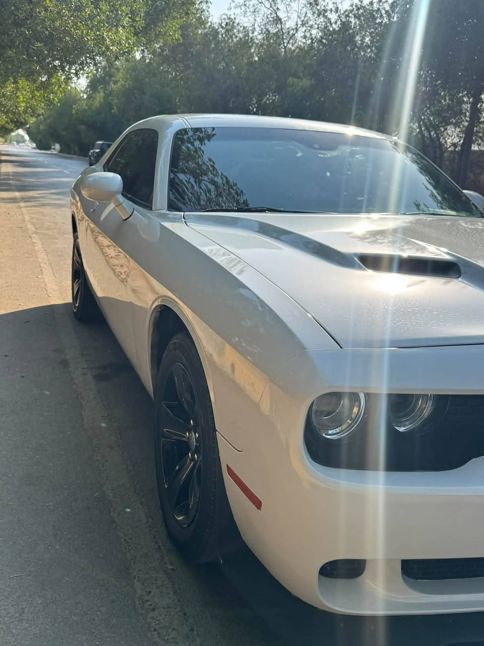 السلام عليكم👋
Dodge challenger
 sxt last call 2023 لون ابيض .

رقم اربيل تريد تحويل تريد وكالة

السياره بيه صبغ قطعتين  جاملغ و البنيد
بيه بارد بالجاملغ الخلفي 
صور الحادث مرفقة بالمنشور .
مكينه3600 — ماشيه 41 الف قابل للزيادة 
السياره تو ويل المرغوب ..
مواصفات الـsxt
شاشه 
كامره 
بصمه + بصمه ابواب
كشن كهرباء 
مثبت سرعه
سماعات ALPINE sound من اعلى الفئات 
كشافات ضباب 

رقم ***********
واتس ادزلك سونارهه والتفاصيل 
مكان السياره النجف 
السعر : 173 خابر وتدلل
