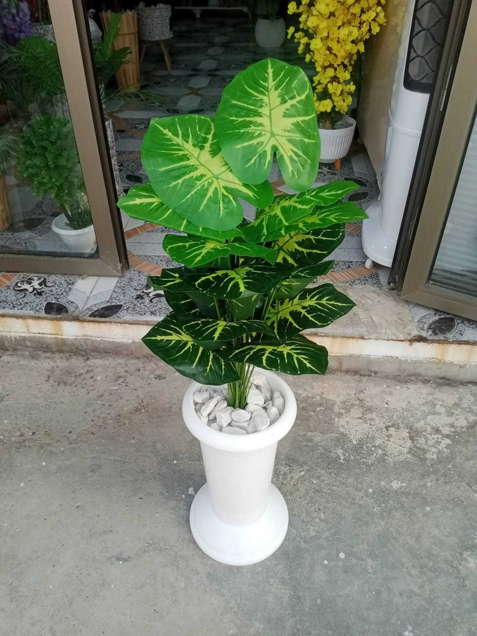 نباتات اصطناعية
نبات المطاط  18 ورقة تركيب الأوراق زيتية 🌱 🌱 وبدرجات ألوان متنوعة تناسب ذوقك وديكور بيتك أو مكتبك.
توصلكم كامله سندان قاعدة ديكور حجر طبيعي للتزيين حتى تنطيكم المظهر الطبيعي المكتمل بدون أي تعب أو عناية.
 مثالية للمكاتب، طاولات القهوة، الرفوف، أو كهدية لطيفة لأحبابكم.
نوصلها لباب بيتك وين ما تكون 🚚 🚚
#سعفة 🌿
للحجز دايركت او واتس*********** 
 توصيل متوفر لجميع المحافظات
