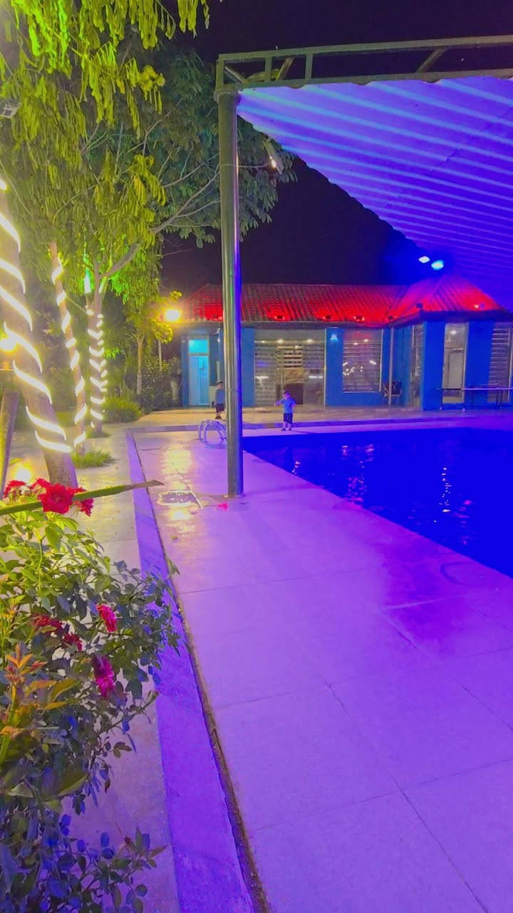 مزرعة الجبل للحجز *********** سعر الشفت بعرض    150
