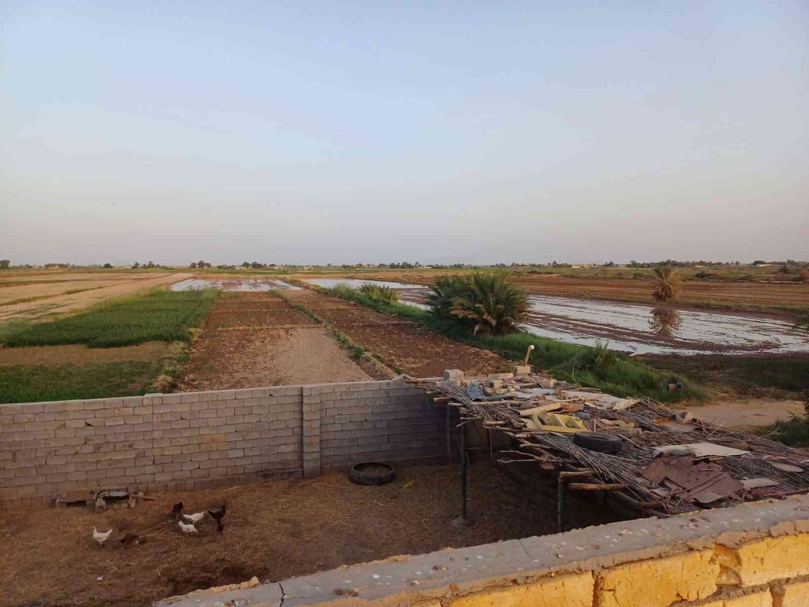 بسم لله الرحمن الرحيم 
گاع للبيع سبعه دونم + بيت يتكون من غرفتين وصاله ومطبخ واستقبال  + بستان  + محصار حلال  البيت جاهز للسكن في ذي قار قضاء الشطره  البدعة  طريق ال سيد حمد ( منطقة ال حشيش )قرب مدرسة الخمائل الابتدائية  السعر 45 
للاستفسار الاتصال على الرقم (( *********** )) 
غير متواجد على الفيس بوك
