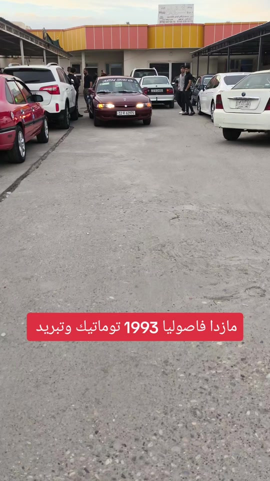 مازدا فاصوليا • 1993 • توماتيك