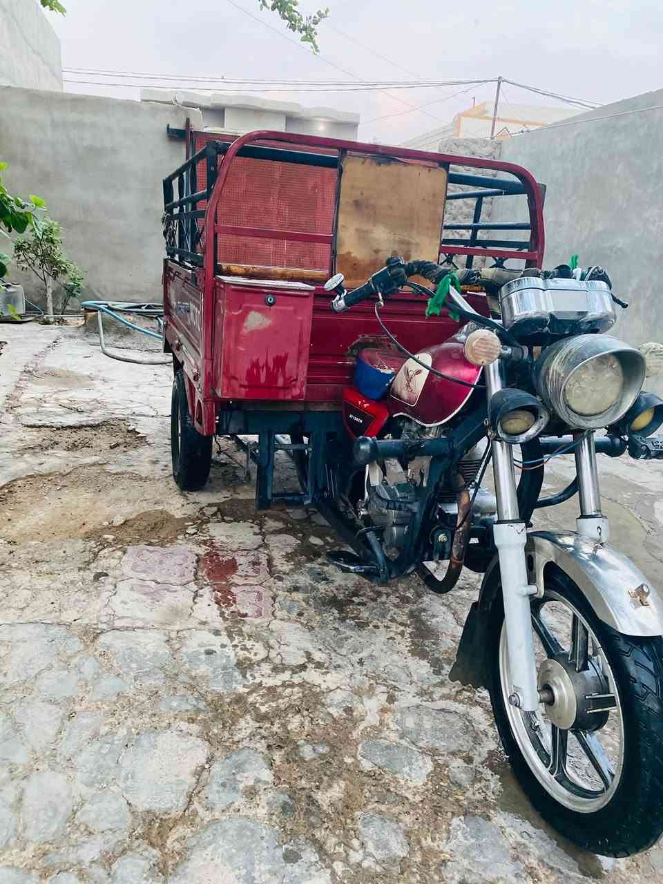 ستوتة • ٢٠١٥ • جلولاء
