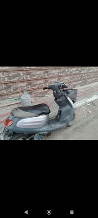 منغولي