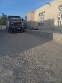 تاته هندي • محرك خرسه • كير مكفول