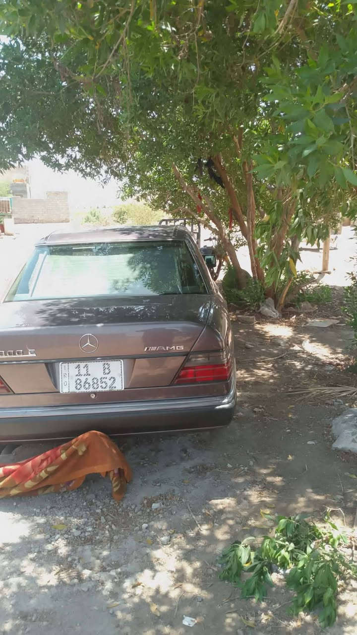 السلام عليكم من رخصه الادمن مرسدس دب موديل ٩١ جديدة تعمير جديد  قواعد دبلات مكفوله سنويه للواحد وتلاثين مكفوله كص عيب شرعي حادث  صدر امامي خلفي جديد مكينه بلادي غرفة جديدة  مكانهة بغداد العبيدي السعر ٧٠   (***********
