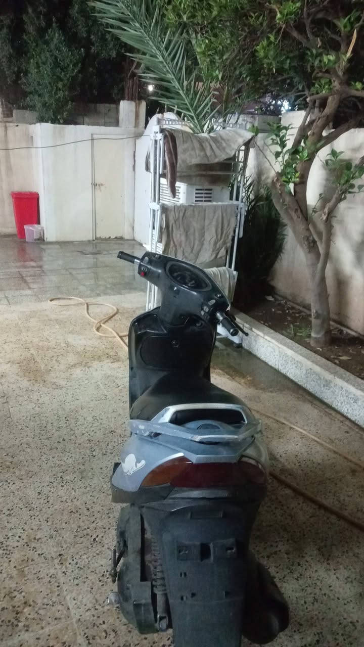 ماكس ثعلب • مطور معدل • نظيف