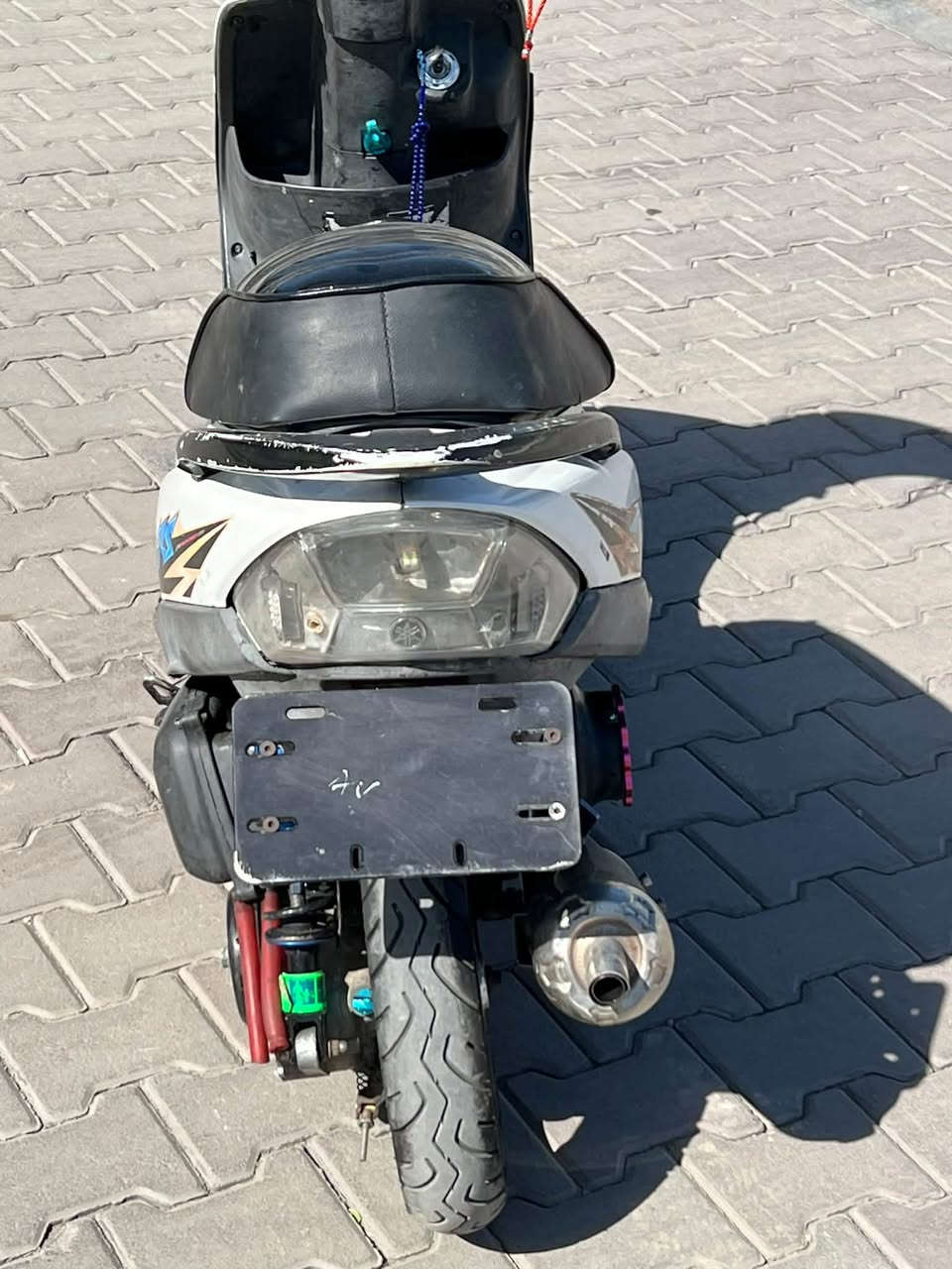 ماكس عدله • ٥٥ • قويه