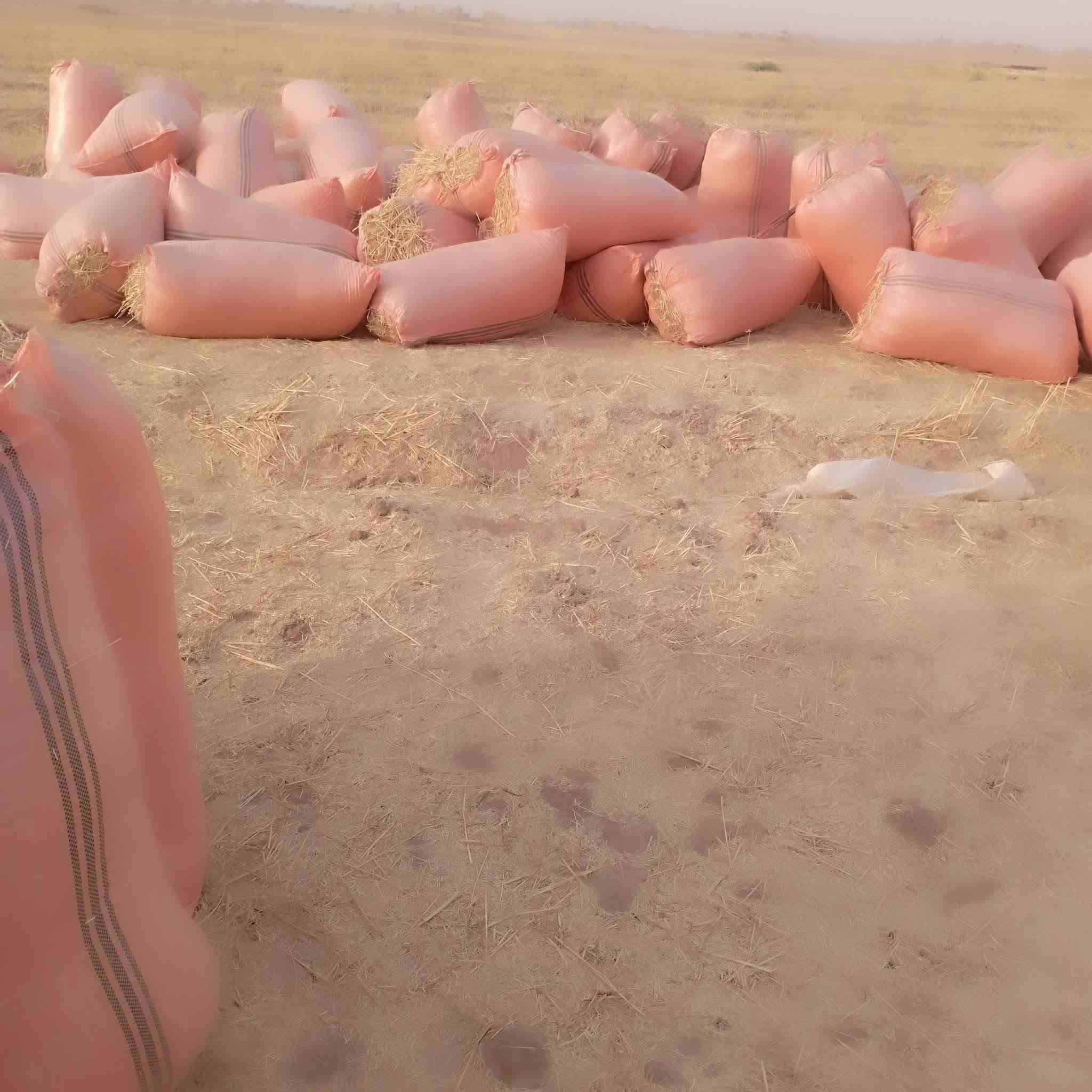 السلام عليكم يوجد تبن مال السنة تبن حنطة موجود گواني وموجود شلفان اسعار مناسبة ترس فول يوجد توصيل #شرقاط_هيجل_خضرانية_گيارة_اسديره_الزاب_الحود  للاستفسار والتواصل على الرقم *********** او المراسله عالخاص وحياكم الله
