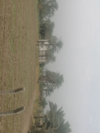 ٥ دونم • بستان • سند ٢٥