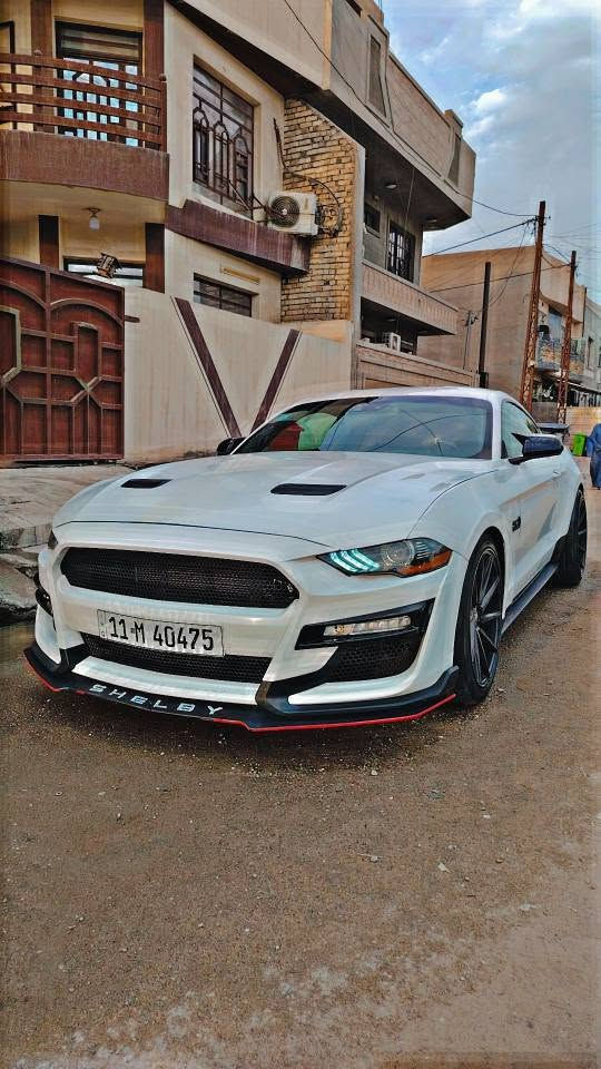 موستنك GT • ٥.٠ V8 • ١٥ ألف كم