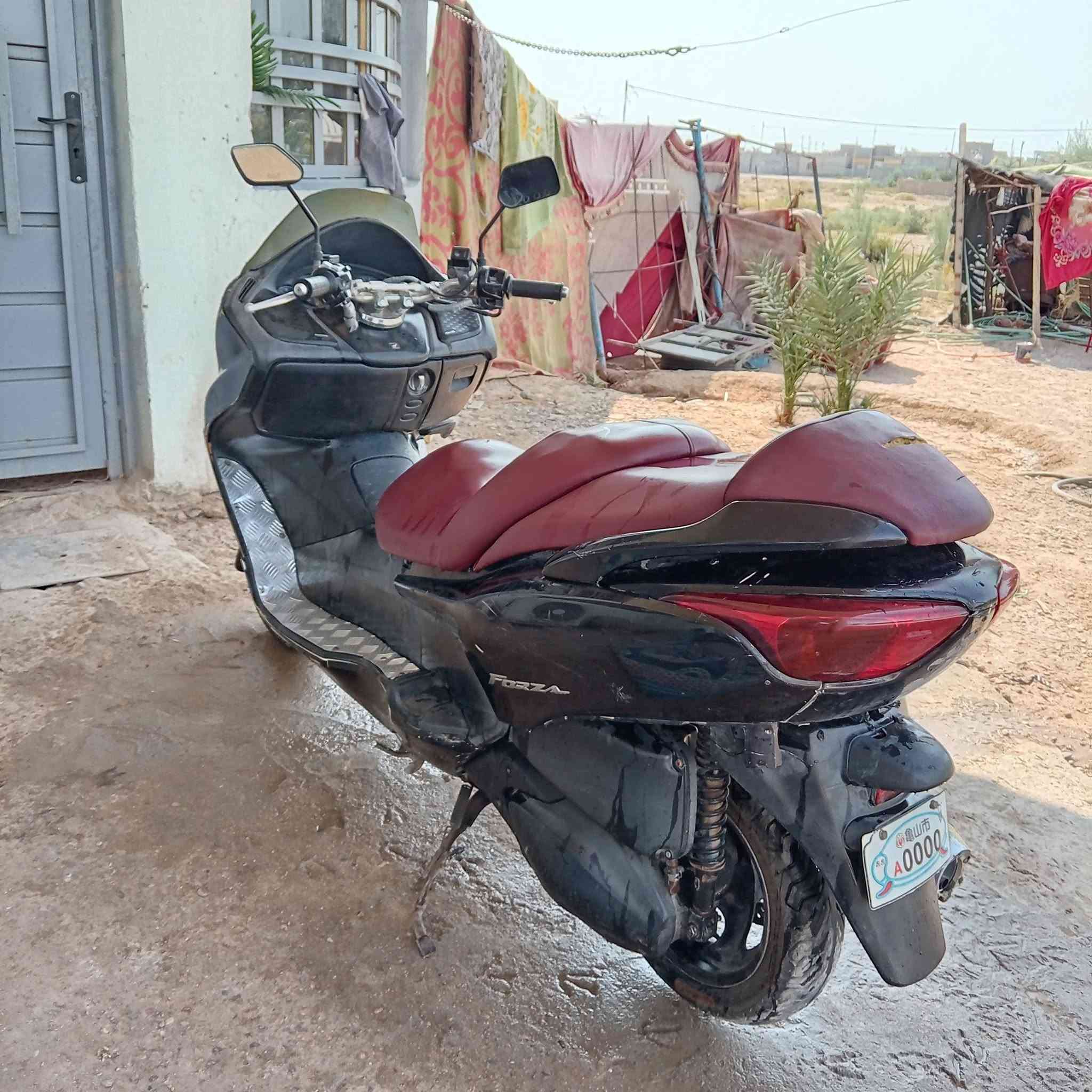 فورزة • ما تشتغل • قرنه سويب