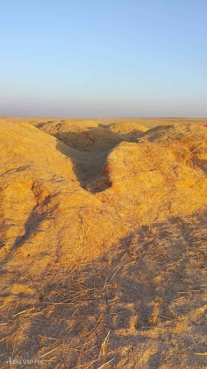 السلام عليكم للبيع تبن مجيس او فل الاستفسار ***********

نص مكتوب في الصور:
- nubia V80 Pro