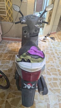 سكنس فحل • نضيفة • مكفولة