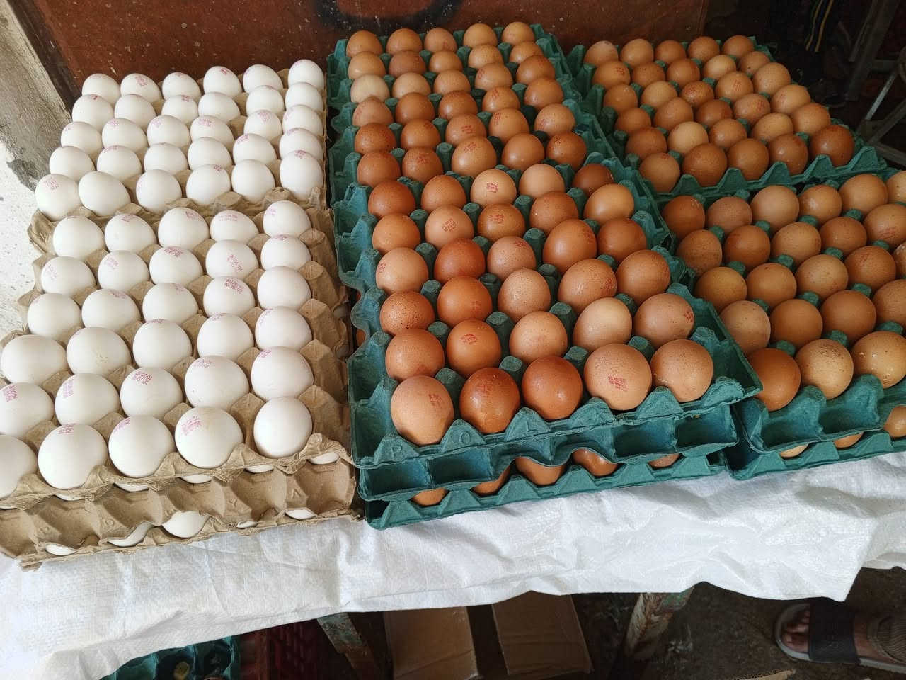 السعر... 2900 علوة دجاج ابو فاروق لبيع دجاج الحي يوجد لدينه اسعار مناسبه جوه السوك بسعر البلاشششش يوجد لدينه صدر دجاج افخاذ دجاج نظافه فول  العنوان ناحية الرشيد الخروجيه قرب المنتزه مستعدون لتجهيز كافه المناسبات والمطاعم ... ***********....  ***********
