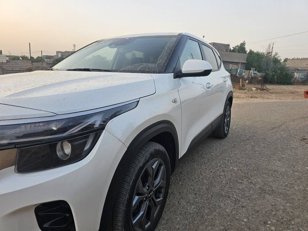 سيليتوس • ٢٠٢٤ • بدون أرقام
