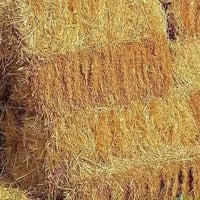 تبن • زوج • بدون عمولة