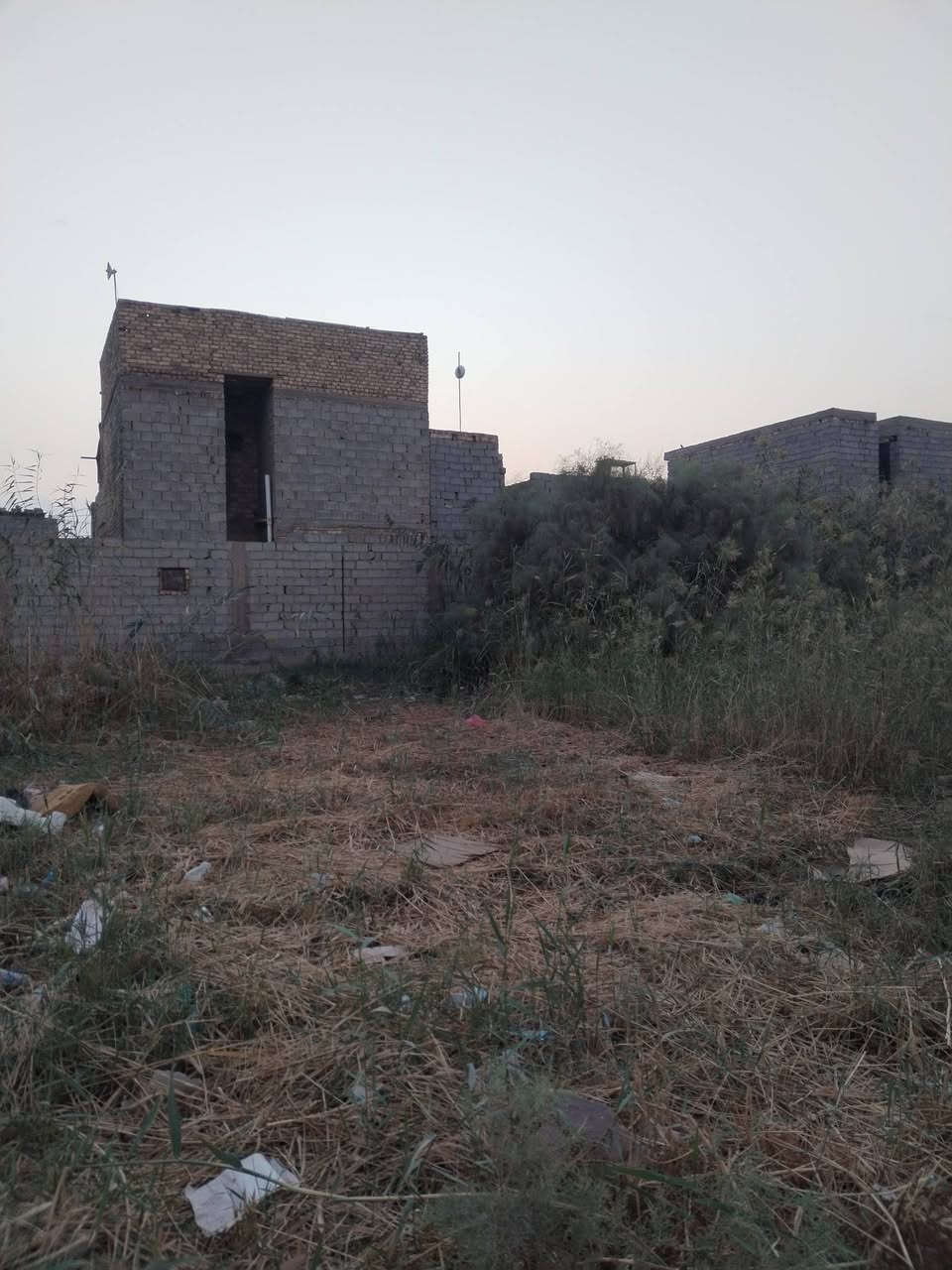 سند ٢٥ • ١٩٠م • قطعتين