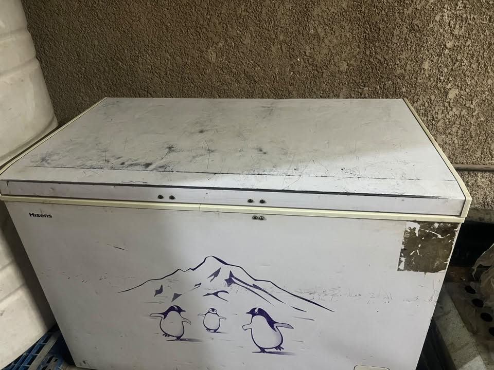 سلام عليكم غراض مطعم للبيع
كرل فحم طبيعي +غاز هو والميز ماله 
مجمده نضيفه تبريده فول 
كاشير +يوبيس+طابعات 2 نضام سبيدو
ميز كاشير اناره دخليه لدات 
عارضه صلاصلات تبريده قوي
كرسي مال كاشير 
دكتات سل ستيل ابو فلاتر الاصلي 
واحد عرضه 240سم والثاني 120
اجهزه تطبيقات 
طلابات +بلي +طلاباتي +سريع
غراض كله نضيفه 
مكاني بغداد الاسكان قريب المنصور
لاستفسار /***********
