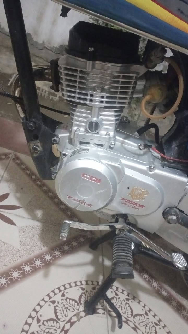 فقط رقم • بدون تفاصيل