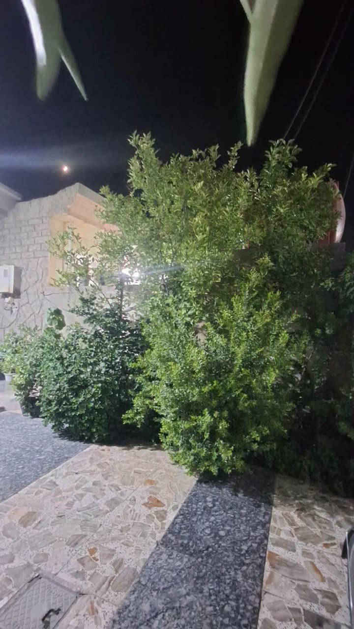 مشتمل طابو صرف مساحتة ١٥٠م في حي الزهراء خدمات كاملة يحتوي ع غرفة نوم وصالة واستقبال ومطبخ بناء طابوك وسكف صب تحويل مباشر للأستفسار ***********
*********** او مراجعة مكتب أمتار للعقار
